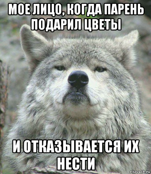 мое лицо, когда парень подарил цветы и отказывается их нести, Мем    Гордый волк