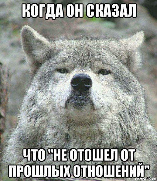 когда он сказал что "не отошел от прошлых отношений", Мем    Гордый волк