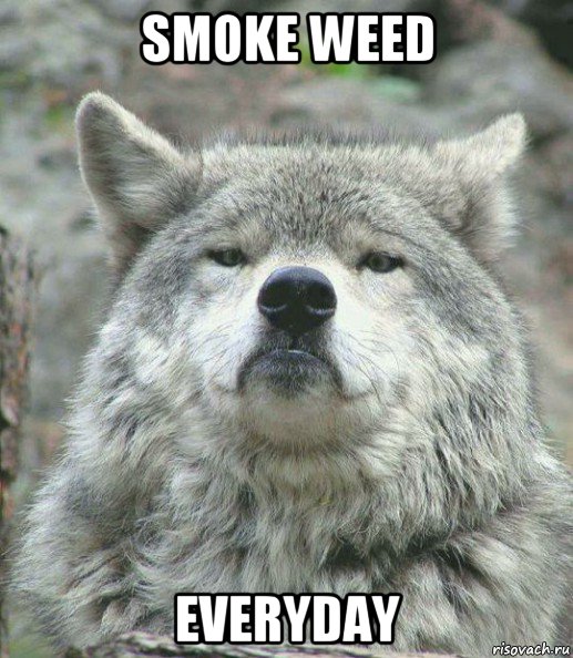 smoke weed everyday