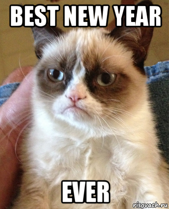 best new year ever, Мем Grumpy Cat small