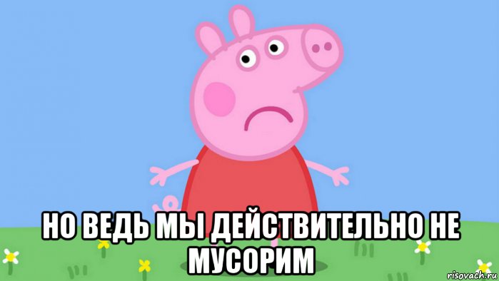  но ведь мы действительно не мусорим