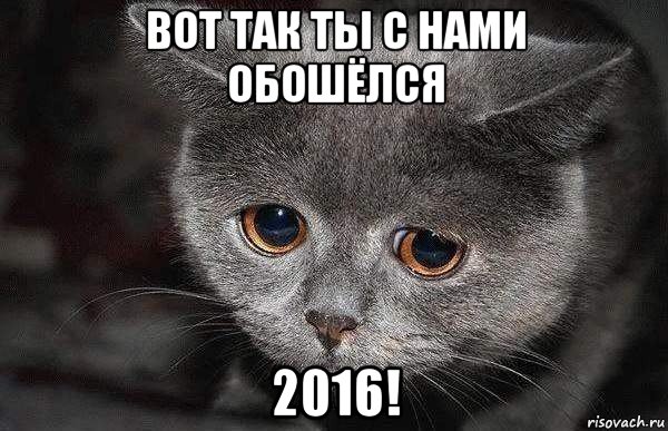 вот так ты с нами обошёлся 2016!, Мем  Грустный кот