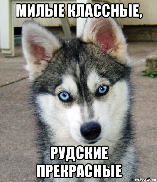 милые классные, рудские прекрасные