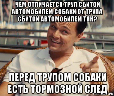 чем отличается труп сбитой автомобилем собаки от трупа сбитой автомобилем тян? перед трупом собаки есть тормозной след, Мем Хитрый Гэтсби