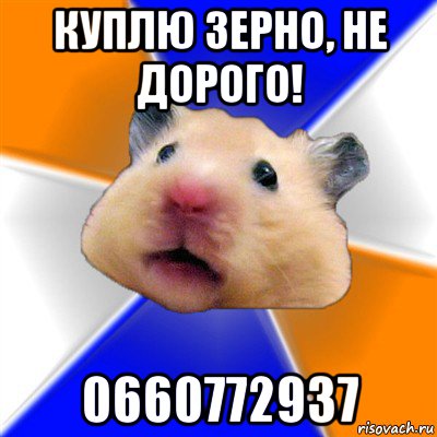 куплю зерно, не дорого! 0660772937, Мем Хомяк