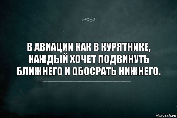 В авиации как в курятнике, каждый хочет подвинуть ближнего и обосрать нижнего., Комикс Игра Слов