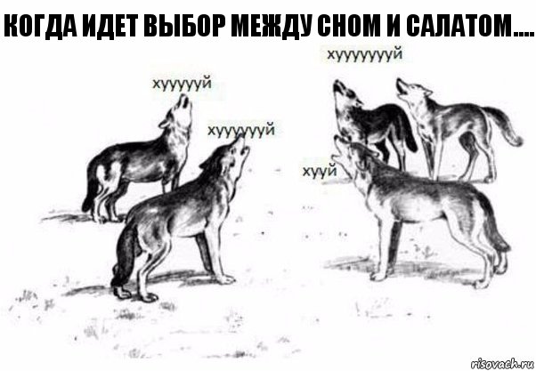 когда идет выбор между сном и салатом...., Комикс Когда хочешь