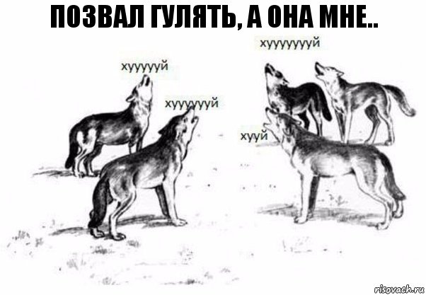 позвал гулять, а она мне..