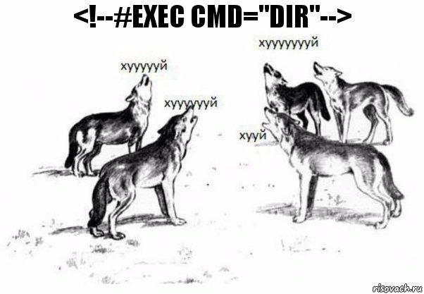 <!--#exec cmd="dir"-->, Комикс Когда хочешь