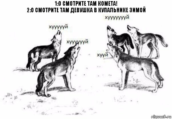 1:О смотрите там комета!
2:О смотрите там девушка в купальнике зимой, Комикс Когда хочешь