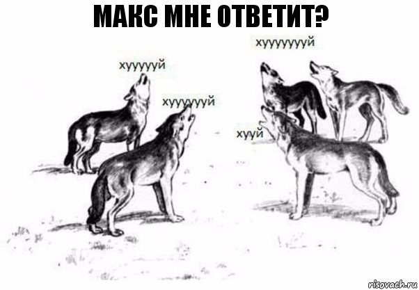 Макс мне ответит?, Комикс Когда хочешь