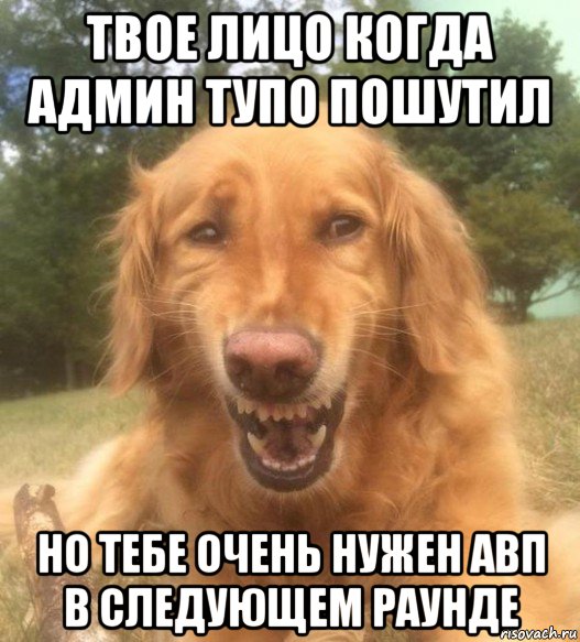 твое лицо когда админ тупо пошутил но тебе очень нужен авп в следующем раунде, Мем   Когда увидел что соседского кота отнесли в чебуречную