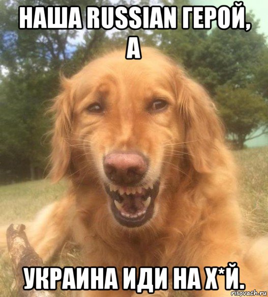 наша russian герой, а украина иди на х*й., Мем   Когда увидел что соседского кота отнесли в чебуречную