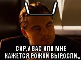 \___/ сир,у вас или мне кажется,рожки выросли