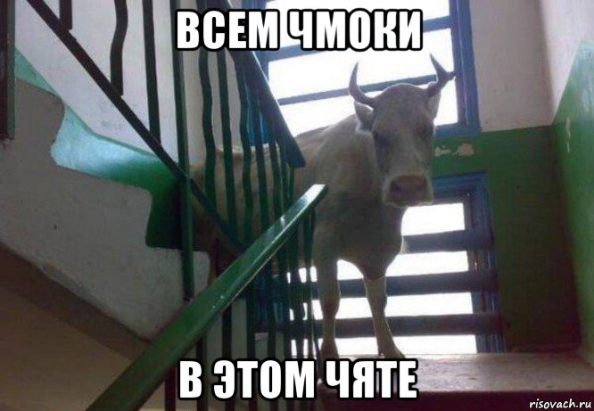 всем чмоки в этом чяте