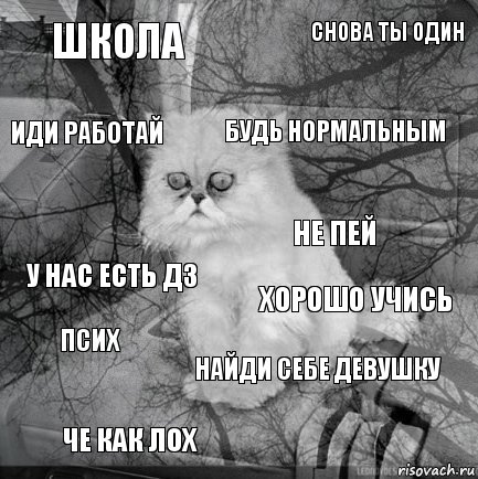 школа хорошо учись будь нормальным че как лох у нас есть дз снова ты один найди себе девушку иди работай псих не пей, Комикс  кот безысходность