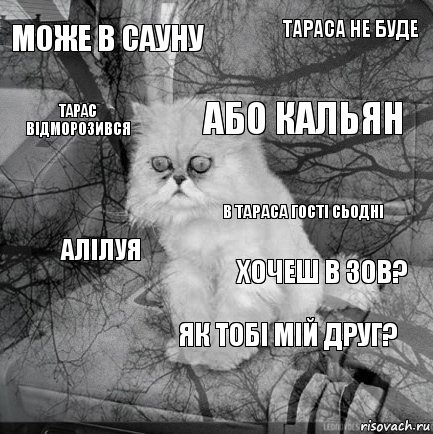 Може в сауну хочеш в зов? або кальян  алілуя ТАРАСА не буде як тобі мій друг? тарас відморозився  в тараса гості сьодні, Комикс  кот безысходность