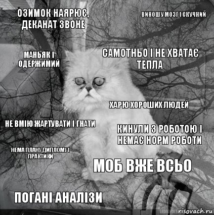 Озимок наярює, деканат звоне кинули з роботою і немає норм роботи Самотньо і не хватає тепла погані аналізи Не вмію жартувати і гнати Виношу мозг і скучний МОБ вже всьо Маньяк і одержимий Нема плану диплому і практики харю хороших людей, Комикс  кот безысходность