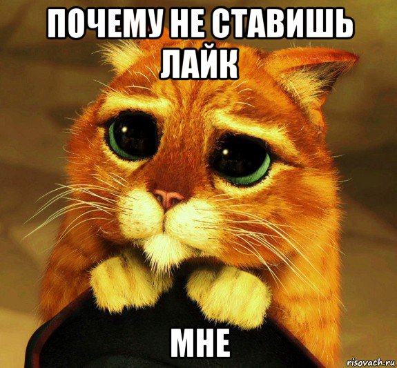 почему не ставишь лайк мне