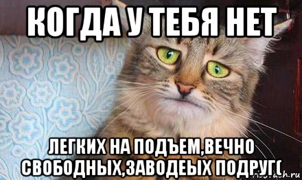 когда у тебя нет легких на подъем,вечно свободных,заводеых подруг(, Мем  кот печаль