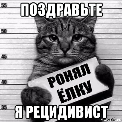 поздравьте я рецидивист, Мем Кот рецидив