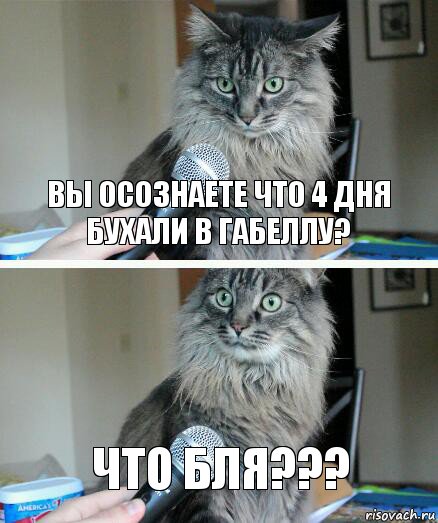 вы осознаете что 4 дня бухали в габеллу? что бля???, Комикс  кот с микрофоном