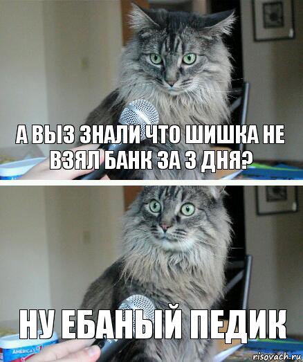 а выз знали что шишка не взял банк за 3 дня? ну ебаный педик, Комикс  кот с микрофоном