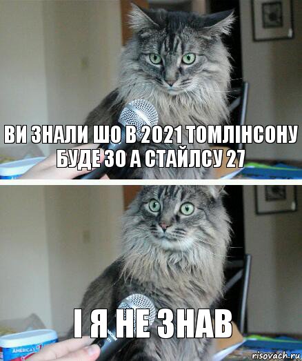 Ви знали шо в 2021 Томлінсону буде 30 а Стайлсу 27 І я не знав, Комикс  кот с микрофоном