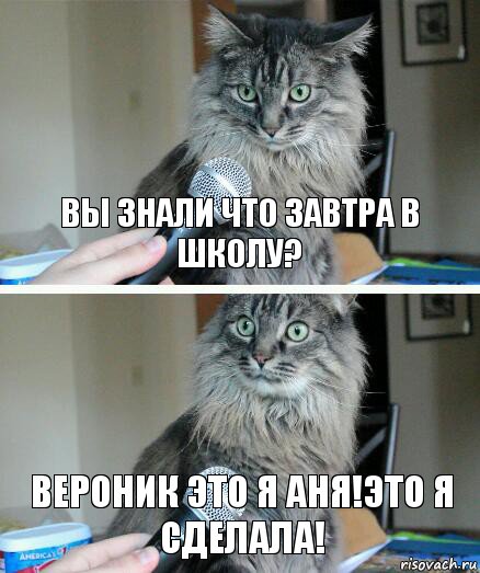 Вы знали что завтра в школу? Вероник это я Аня!Это я сделала!, Комикс  кот с микрофоном