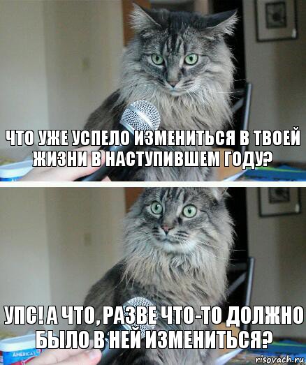 что уже успело измениться в твоей жизни в наступившем году? упс! а что, разве что-то должно было в ней измениться?, Комикс  кот с микрофоном