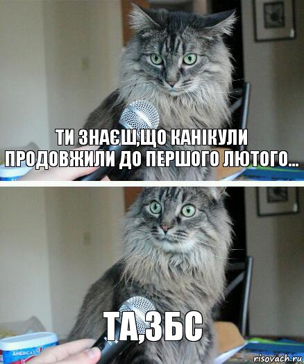 ти знаєш,що канікули продовжили до першого лютого... ТА,ЗБС, Комикс  кот с микрофоном