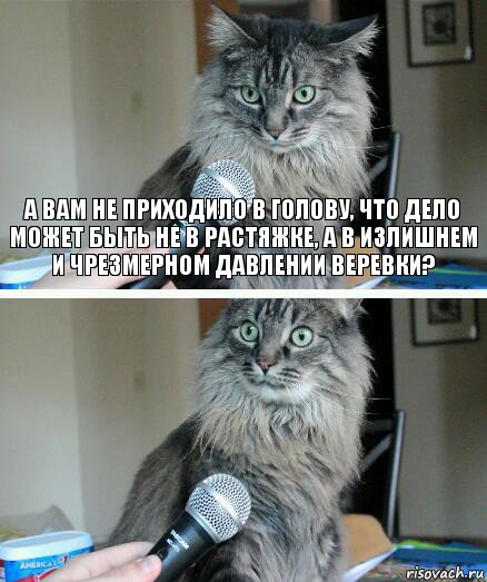 А Вам не приходило в голову, что дело может быть не в растяжке, а в излишнем и чрезмерном давлении веревки? , Комикс  кот с микрофоном