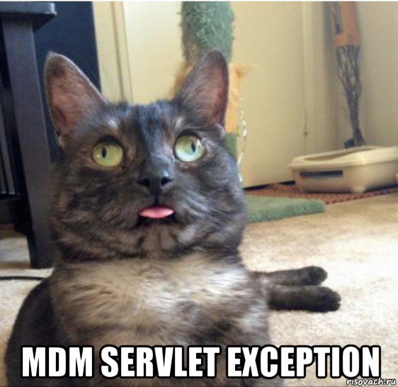  mdm servlet exception