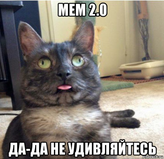 мем 2.0 да-да не удивляйтесь