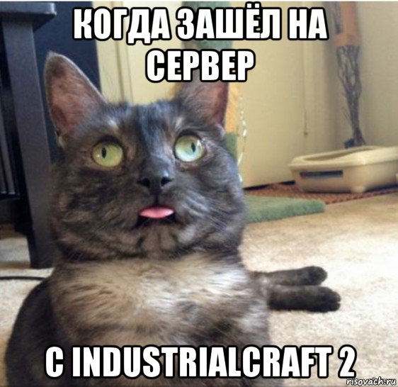 когда зашёл на сервер с industrialcraft 2, Мем   Кот завис