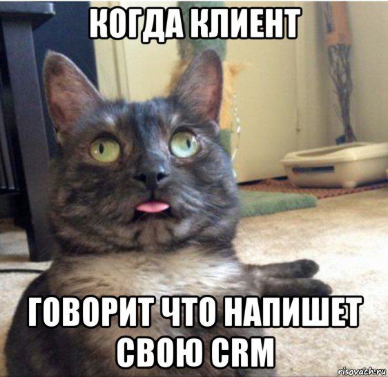 когда клиент говорит что напишет свою crm, Мем   Кот завис