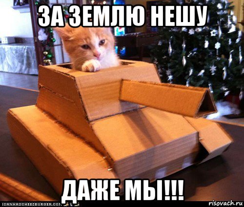 за землю нешу даже мы!!!, Мем Котэ танкист