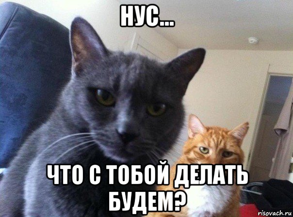 нус... что с тобой делать будем?