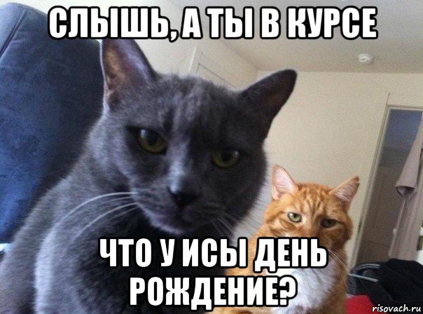 слышь, а ты в курсе что у исы день рождение?, Мем  Два котэ