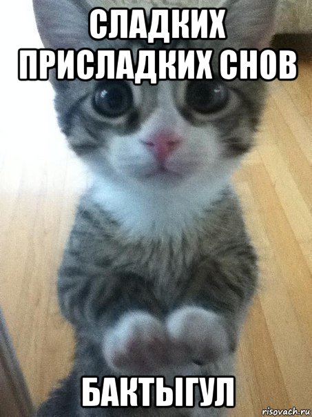 сладких присладких снов бактыгул