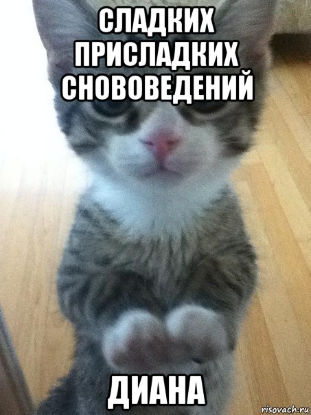 сладких присладких снововедений диана