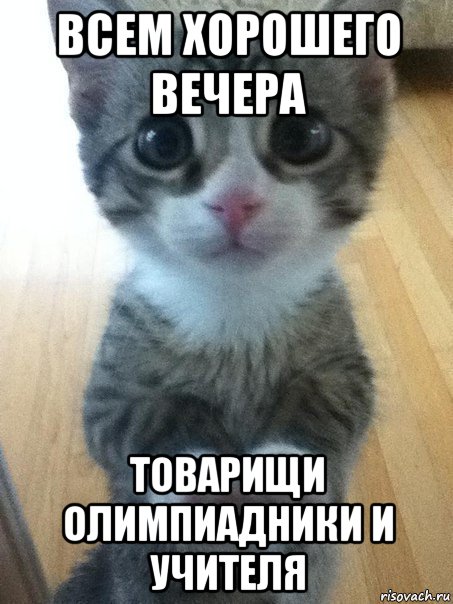 всем хорошего вечера товарищи олимпиадники и учителя