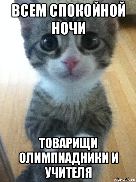всем спокойной ночи товарищи олимпиадники и учителя