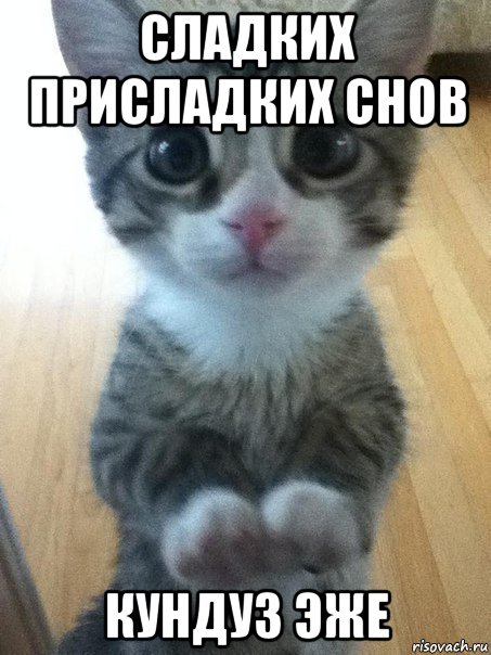 сладких присладких снов кундуз эже