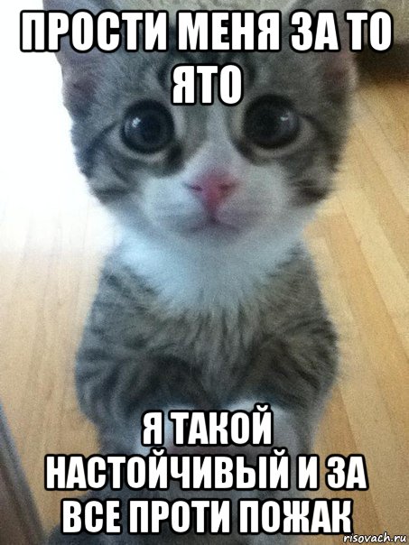 прости меня за то ято я такой настойчивый и за все проти пожак