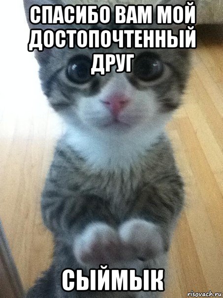 спасибо вам мой достопочтенный друг сыймык