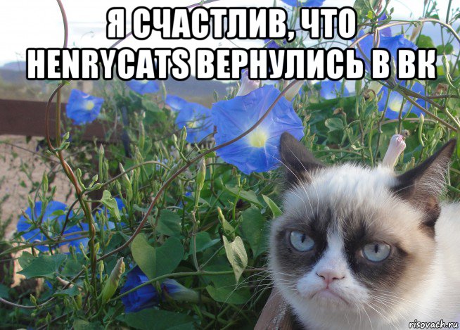 я счастлив, что henrycats вернулись в вк 