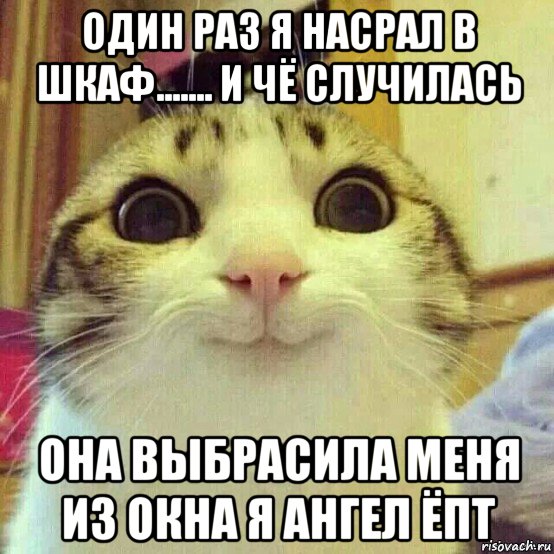 один раз я насрал в шкаф....... и чё случилась она выбрасила меня из окна я ангел ёпт, Мем       Котяка-улыбака