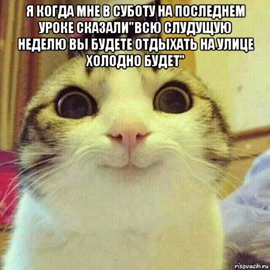 я когда мне в суботу на последнем уроке сказали"всю слудущую неделю вы будете отдыхать на улице холодно будет" , Мем       Котяка-улыбака