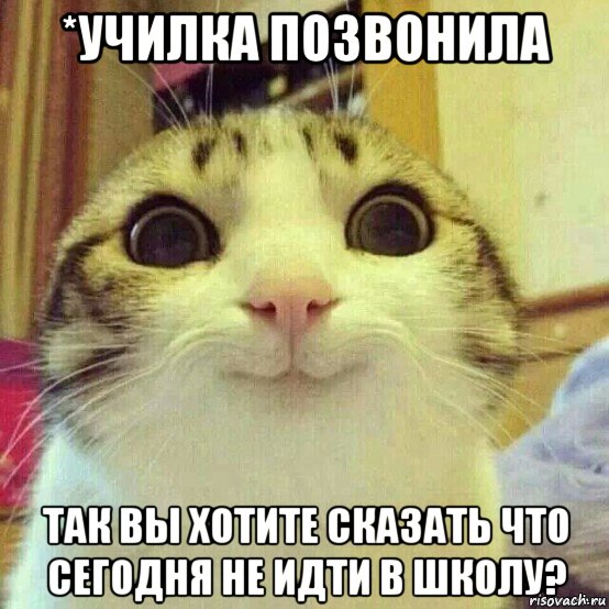 *училка позвонила так вы хотите сказать что сегодня не идти в школу?, Мем       Котяка-улыбака